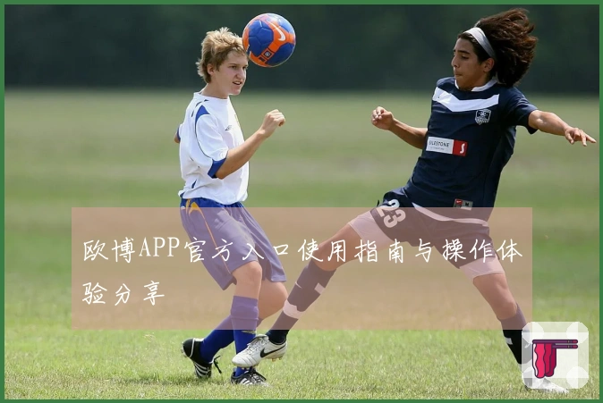 欧博APP官方入口使用指南与操作体验分享