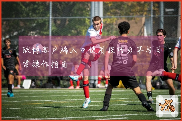 欧博客户端入口使用技巧分享与日常操作指南