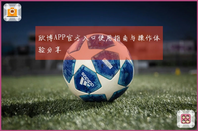欧博APP官方入口使用指南与操作体验分享