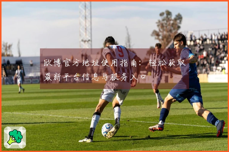 欧博官方地址使用指南：轻松获取最新平台信息与服务入口